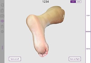 Orthotics using 3D foot scanning. 3D image 
